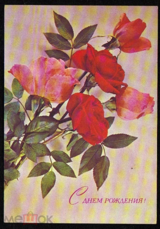 Открытка СССР 1975 г. С днем рождения! Цветы, Розы, флора фото И. Дергилева ДМПК чистая
