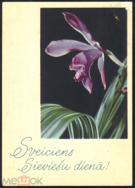 Открытка Литва Рига 1963 г. С 8 марта. Цветы, орхидеи. фото Я. Гайтлиса нечастая подписана