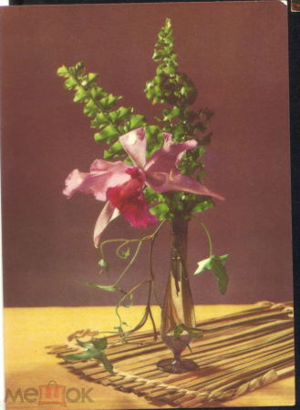 Открытка Германия ГДР 1960-е. Цветы, орхидеи подписана