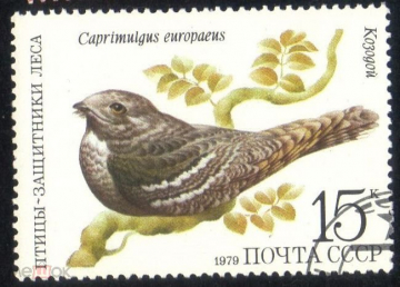 Марка СССР 1979 Фауна, птицы, козодой. Птицы защитники леса гаш
