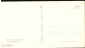 Открытка СССР 1965 г. Поздравляю. Нарциссы, тюльпаны, цветы. фото. Е. Игнатович Михельсона СХ чистая - вид 1