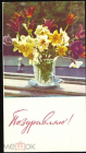 Открытка СССР 1965 г. Поздравляю. Нарциссы, тюльпаны, цветы. фото. Е. Игнатович Михельсона СХ чистая