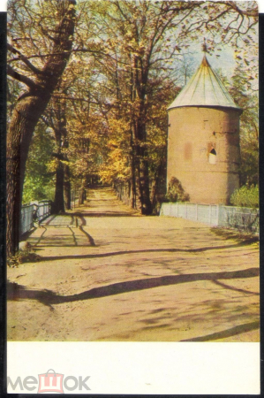 Открытка СССР 1965 г. Павловск. Пиль-башня фото. А. Ритова чистая