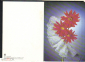 Открытка СССР 1988 г. Поздравляю, цветы, астры. фото Д. Киндровой двойная чистая - вид 3