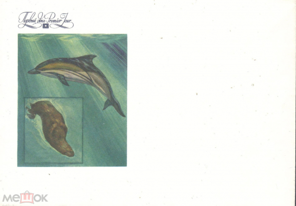 Конверт для ГПД СССР 1980-е Морская фауна. Киты, дельфины. Чистый