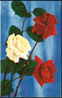 Открытка СССР 1971 г. Желаем счастья! Цветы, букет, розы. фото Г. Костенко двойная чистая