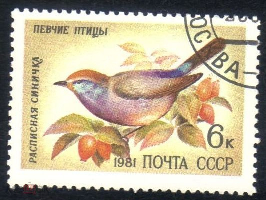 Марка СССР 1981 г. Певчие птицы. Расписная синичка гаш.