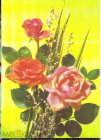 Открытка СССР 1991 г. Цветы, поздравление. фото. И. Дергилева ДМПК подписана
