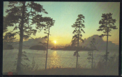 Открытка СССР 1985 г. Пейзаж, сосны, озеро, острова фото В. Захарова изд. Планета чистая