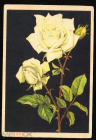 Открытка СССР 1961 г. Цветок белая Роза флора живопись. Эстония Таллин Октообер ДМПК чистая