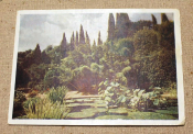 Крым Никитский ботанический сад им.Молотова 1955