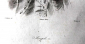 Иосиф II гравюра Леметра, Лале и Шайо 8 х 10 см  Лист 12,3 х 20,5 см - вид 1