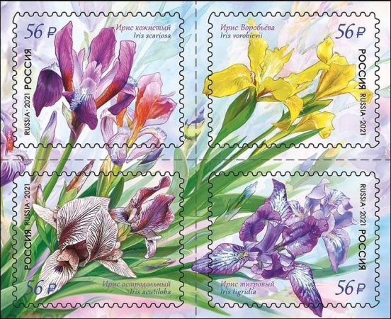 Россия 2021 2741-2744 Флора Цветы Ирисы MNH