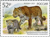 Россия 2021 2722 Фауна Исчезающие виды животных Переднеазиатский леопард Европа СЕПТ MNH