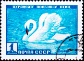 СССР 1959 год . Фауна СССР . Лебедь . (2)