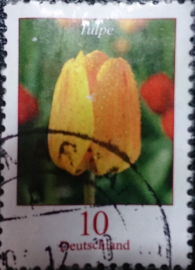 Германия, Цветы, Флора, Растения, Тюльпан, 2005 год, гашеная!