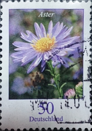 Германия, Цветы, Флора, Растения, Астра, 2005 год, гашеная!