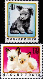 Венгрия 1974 год . Из серии " Молодые Животные" . Каталог 0,60 €.