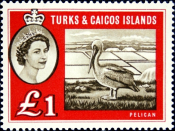 Теркс и кайкос 1960 год . Пеликан , крупный номинал . Каталог 50,0 £ .