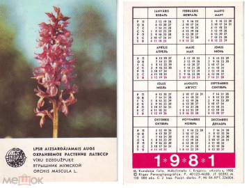 Календарик 1981 ЛАТВССР Охраняемое растение Ятрышник Мужской