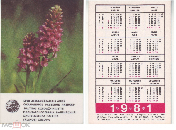 Календарик 1981 ЛАТВССР Охраняемое растение Пальчатокоренник Балтийский