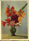 Открытка СССР 1960 г. Букет гладиолусов с флоксами, цветы, флора. фото И. Шагина чистая
