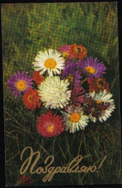 Открытка СССР 1974 г. Поздравляю! Цветы, букет, бабочка худ. Б. Столяров
