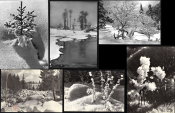 Открытки СССР 1961 г. 6 открыток из серии Зимний пейзаж черно-белые чистые с марками