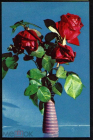 Открытка СССР 1969 г. Розы, ваза, цветы фото В. Стукалова изд. Планета чистая