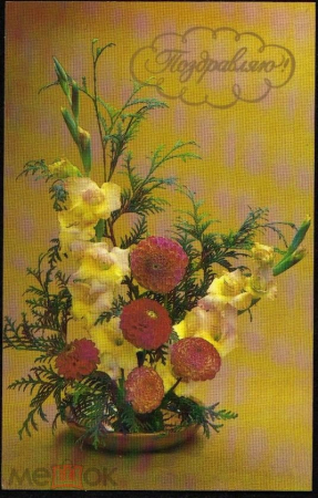 Открытка СССР 1983 г. Поздравляю! Цветы, ваза, букет. фото В. Бабайлова Л. Садловской чистая