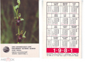 Календарик 1981 ЛАТВССР Охраняемое растение Офрис Мухоносный