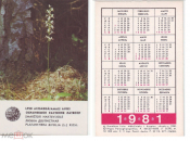 Календарик 1981 ЛАТВССР Охраняемое растение Любка двулистная