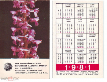 Календарик 1981 ЛАТВССР Охраняемое растение Кокушник Комарниковый