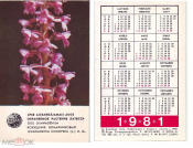 Календарик 1981 ЛАТВССР Охраняемое растение Кокушник Комарниковый