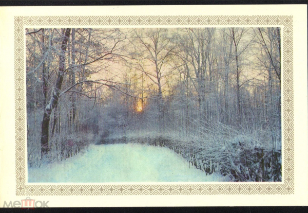 Открытка СССР 1970 г. С Новым Годом! Лес, природа, зима, деревья. фото Раскина двойная чистая