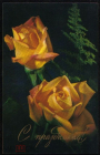 Открытка СССР 1976 г. С праздником! Цветы, букет, белые розы фото. Г. Гусейнзаде подписана