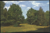 Открытка СССР 1965 г. В летний день, поле, лес, природа фото. В. Кадышева СХ чистая