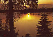 Открытка СССР Пейзажи Финляндии. Закат, озеро, река. природа, ель