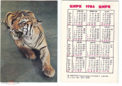 Календарик СССР 1986, Союзрекламкультура, Советский цирк, Тигр