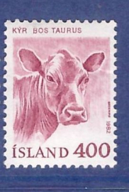 Исландия.1982г. Корова