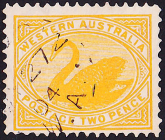 Западная Австралия 1903 год . Черный лебедь (Cygnus atratus) . Каталог 8,0 £.