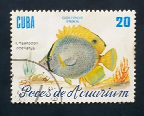 Куба 1985 Глазчатая рыба-бабочка Sc# 2815 Used
