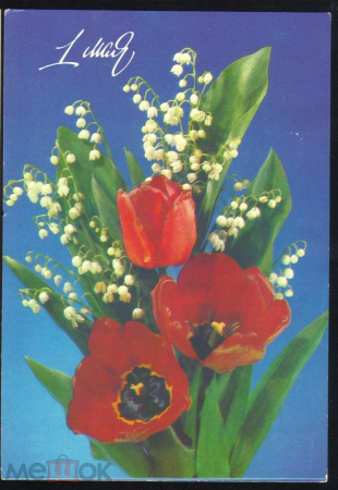 Открытка СССР 1990 г. 1 мая. Цветы, флора, тюльпаны. ДМПК. ф. Дергилева чистая