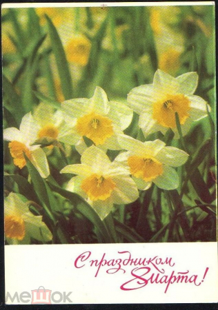 Открытка СССР 1971 г. С праздником 8 марта!, нарциссы, цветы фото Л. Раскина ДМПК подписана