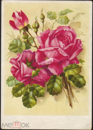Открытка Германия 1950-е. Цветы, Розы. букет. редкая экслибрис подписана