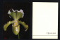 Набор открыток Чехословакия 2. Орхидеи, цветы. 9 из 18 шт. неполный - вид 6