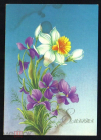 Открытка СССР 1988 г. 8 марта. Нарцисс, фиалки цветы, весна. Худ Н. Коробова.