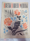Книга 1969 Цветы нашей Родины | Иванов П. Н., Голубкова А. Д.