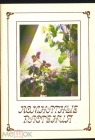 Набор открыток СССР 1986 г. Комнатные растения набор 15 открыток 2 выпуск 15 шт полный
