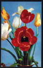 Открытка СССР 1969 г. Букет тюльпанов С праздником! фото Шворака чистая